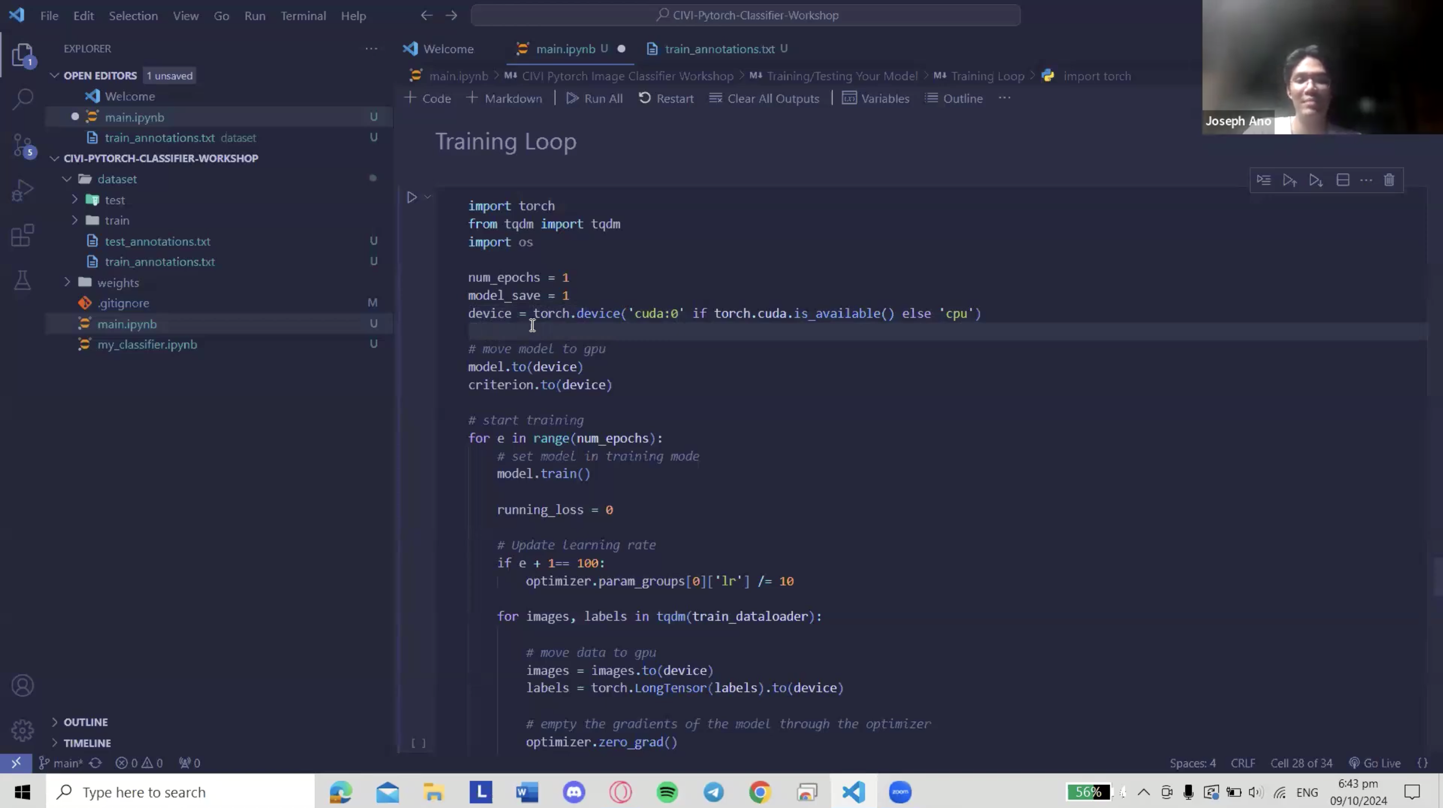 Screenshot from Building an Image Classifier using PyTorch
